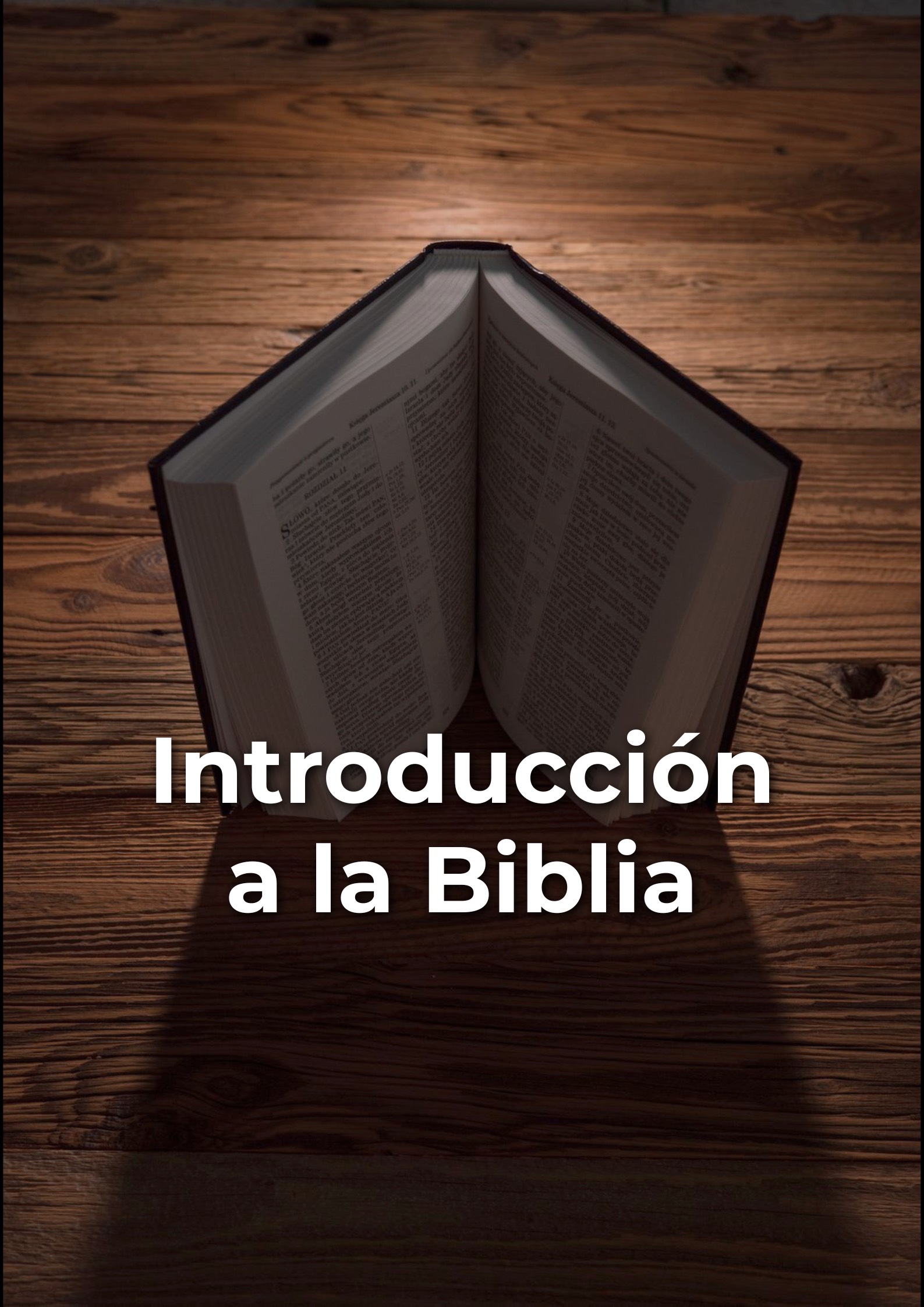 Introducción a la Biblia
